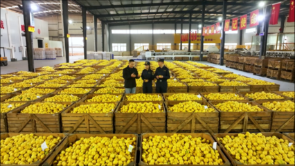 柑橘、檸檬、大蒜……重慶特色農(nóng)產(chǎn)品出海喜迎“開門紅”